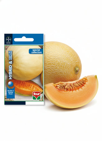 Melone F.1 Summer Dream Semi Ibridi Four