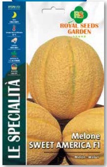 Melone Sweet America F1