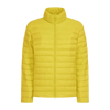 Ragno Piumino 100 Grammi Invernale da Donna DF38KP S85 - Passarelli Biancheria