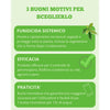 Momentum PFnPE gr 225 (45gx5 Bustine Monodose) Fungicida Sistemico SBM
