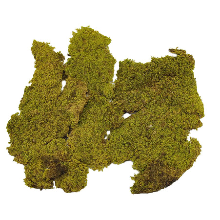 Muschio in scatola secco tappeto naturale per presepe 550 gr decorazione natalizia