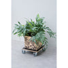 Nature Square carrello portavasi 38x38 cm legno nero 446407
