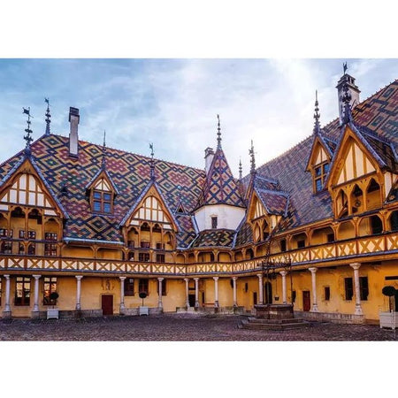 Puzzle di Nathan 1000 p Il