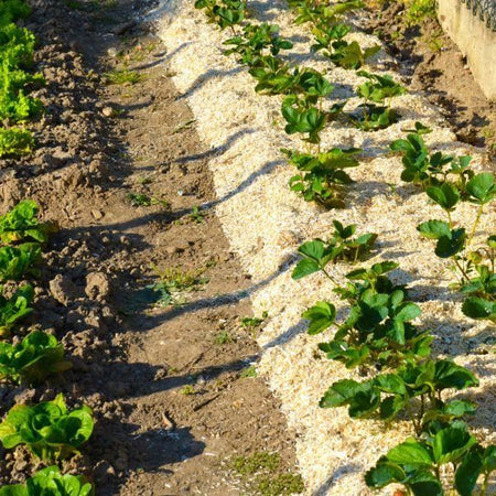 Paglia di canapa NATUREN - 100L