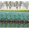 Tela pacciamatura - 2x5m Verde