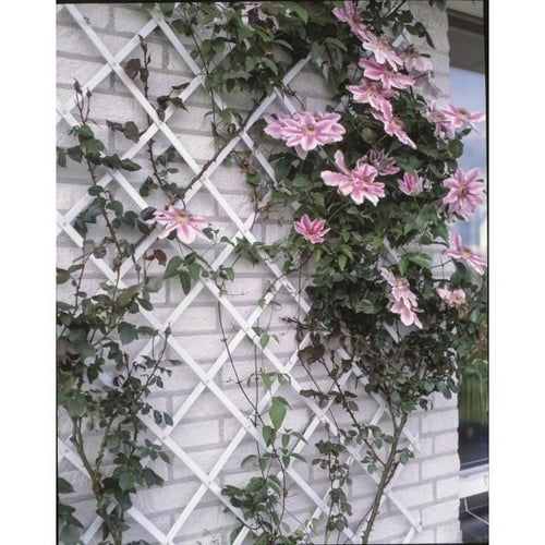 Trellis Green-plast 100x200cm