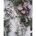 Trellis Green-plast 100x200cm