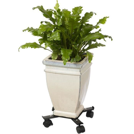 Mensola a rullo NATURE per piante allungabili - Metallo nero - H6 x 34/51 x 34/51 cm