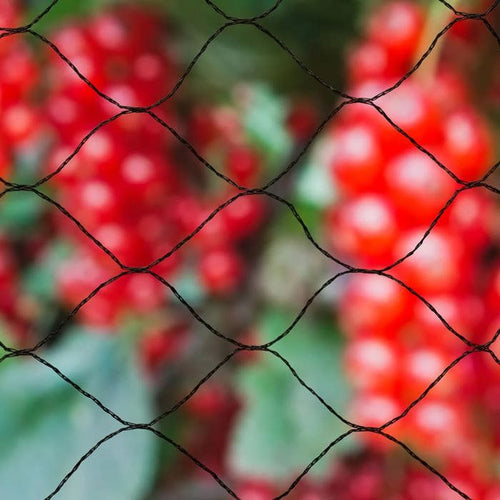 Primo Natural Anti-Bird Net 10 x 10 m nero
