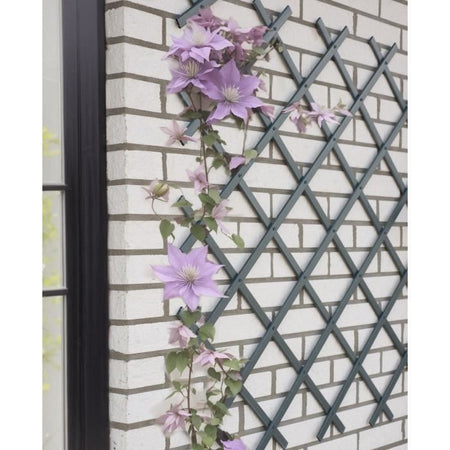 Traliccio estensibile - NATURE - Plastica antracite - 50 x 150 cm