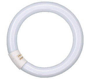 Neon Circolare 22W