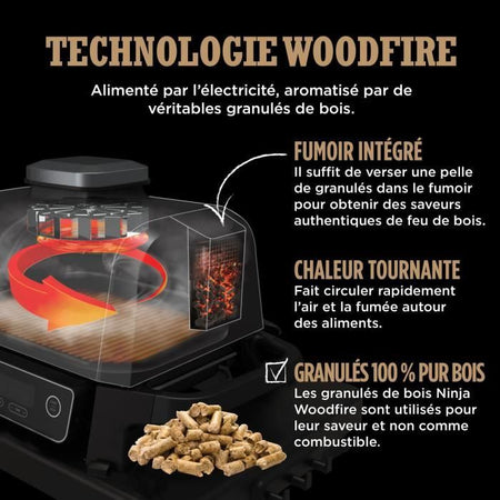 Barbecue elettrico e affumicatore NINJA - Woodfire - OG701EU - Grill, affumicatore e friggitrice ad aria - Antiaderente - Grigio e nero