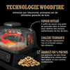 Barbecue elettrico e affumicatore NINJA - Woodfire - OG701EU - Grill, affumicatore e friggitrice ad aria - Antiaderente - Grigio e nero
