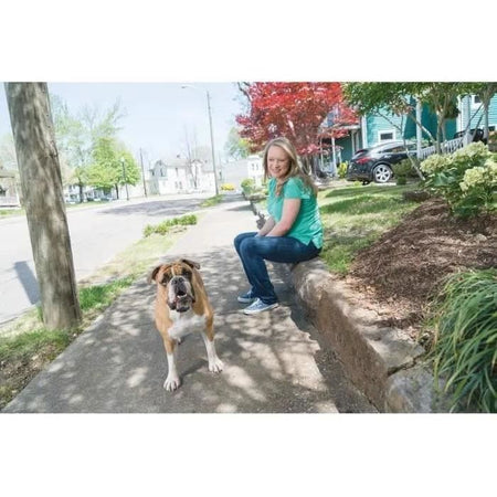 Sistema di supporto educativo 600 m