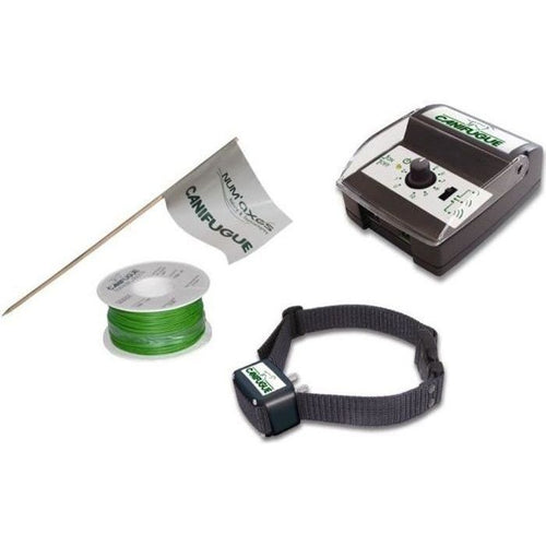 collare di chiusura e Anti-corteccia