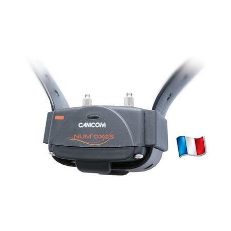 Insieme distanza dressage