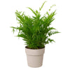Vaso B.For Original Round in plastica riciclata, per esterno, stile moderno