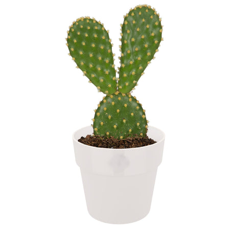 Vaso "B.For Original Round" in plastica riciclata, per esterno, stile moderno