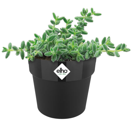 Vaso "B.For Original Round" in plastica riciclata, per esterno, stile moderno