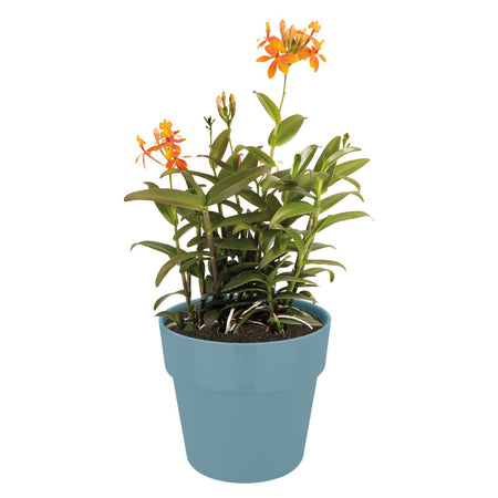 Vaso "B.For Original Round" in plastica riciclata, per esterno, stile moderno