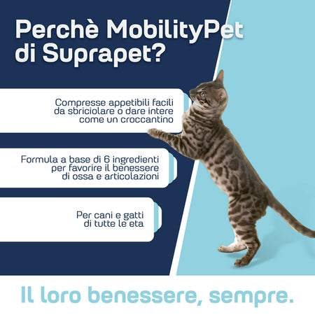 Suprapet mobilitypet cani e gatti - supporto per ossa e cartilagini 90 compresse - con boswelia glucosammina, condroitina, msm, artiglio, vitamina c (90 unità (confezione da 1))