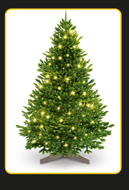 Offerte in Casa e Cucina