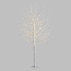 Albero Ramo luminoso Leccio bianco caldo per decorazioni