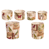 Set 6 porta oggetti Botanic in plastica