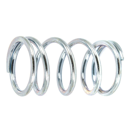 Molla di ricambio ideale per spremipomodoro "TS Pavi"