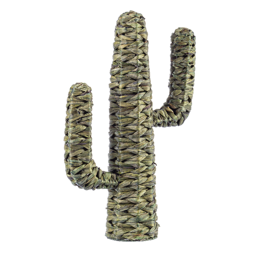 Cactus saguro; prodotto realizzato in materiale vegetale e metallo .