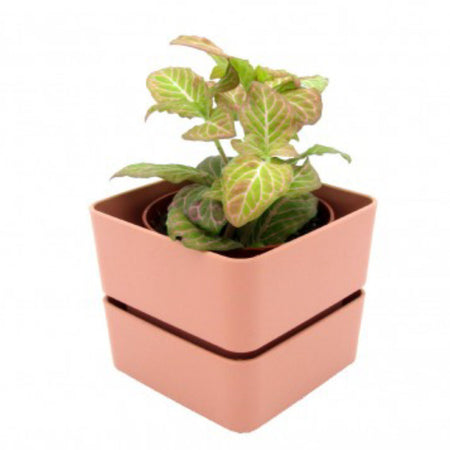 Vaso quadrato "Veleta" in Plastica da esterno e giardino per piante e fiori