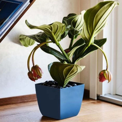 Vaso quadrato da esterno color santiago per piante e fiori