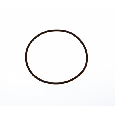 O-Ring Ø Mm.101,2X3,53