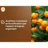 Terra di agrumi e piante mediterranee - MARRONE ORO - OBRTAG20N - 20 L