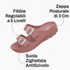 Rosa 6