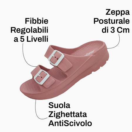Rosa 6