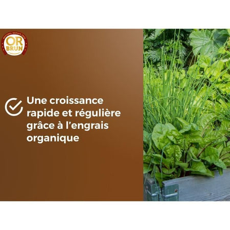 Terriccio per ortaggi e piante aromatiche - OR BRUN - OBRTARO6U - 6L - Crescita rapida