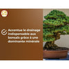 Terriccio per bonsai - BROWN GOLD - OBRTBON6U - 6L - Migliore radicazione