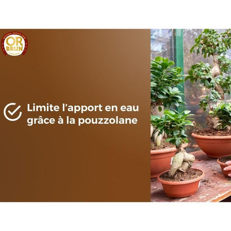 Terriccio per bonsai - BROWN GOLD - OBRTBON6U - 6L - Migliore radicazione