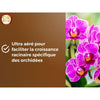 Terriccio per orchidee - BROWN GOLD - OBRTORC6U - 6L - Favorisce la crescita