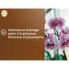 Terriccio per orchidee - BROWN GOLD - OBRTORC6U - 6L - Favorisce la crescita