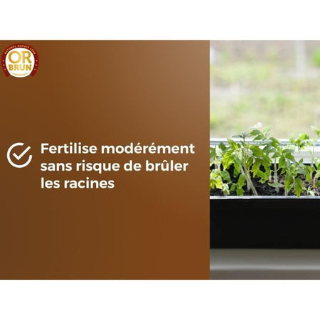 Terriccio per semi - BROWN GOLD - OBRTSEM6U - 6L - Migliora il drenaggio - Ottima ritenzione idrica