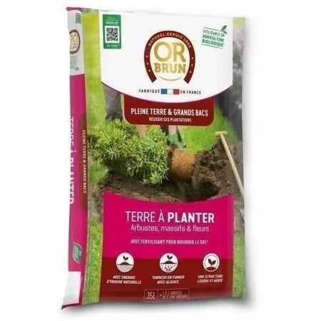 Piantare terra - ORO MARRONE - Obrtap35N