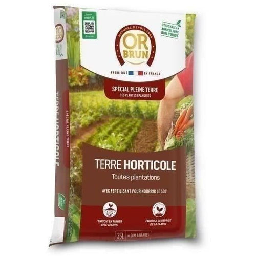 Piante da fiore terrestri - MARRONE ORO - Obrtpf35N