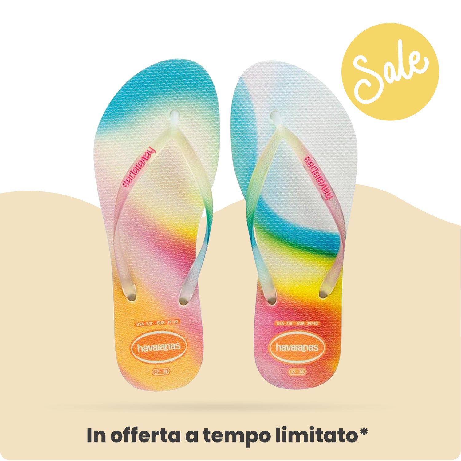 Offerte Valide 24h