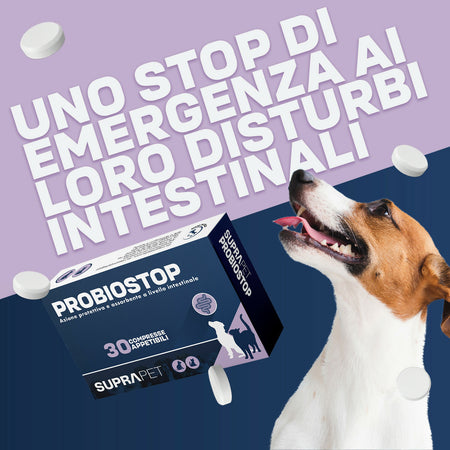 OgAsnyGsPj
