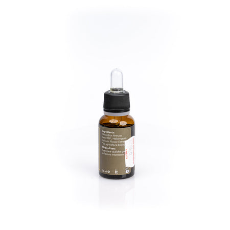 Oleolito di Elicriso Biologico, cosmetico