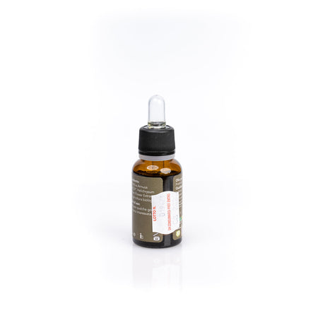 Oleolito di Elicriso Biologico, cosmetico