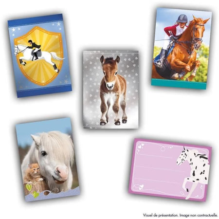 Scatola adesivi - PANINI - Collezione di carte per appassionati di cavalli - Contiene 24 buste da 8 carte