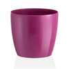 Vaso tondo Madeira Luxy Colour in plastica colorati da esterno e giardino fiori piante